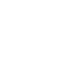 icon secure