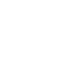 icon working capital