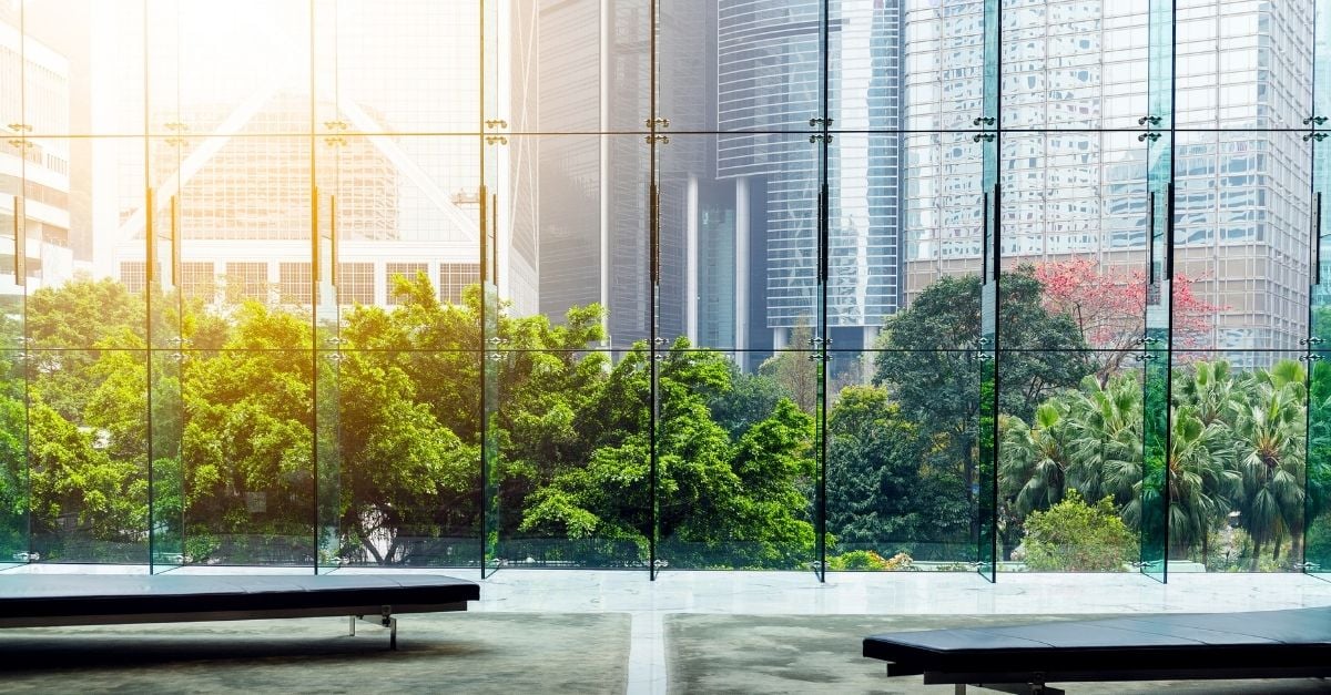 business-travel-and-the-environment business-travel-and-the-environment
