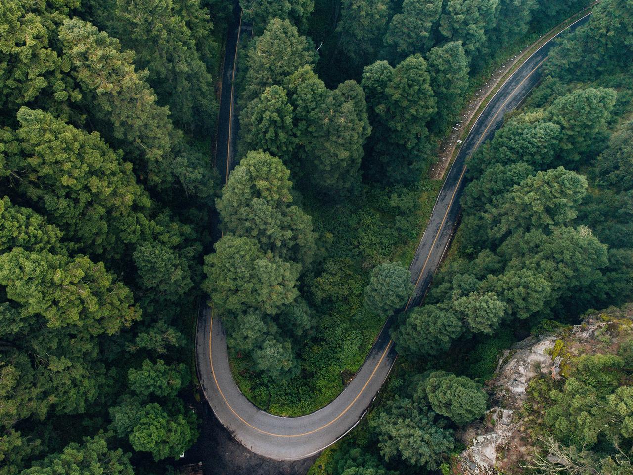 Lonely road in the forest Lonely road in the forest
