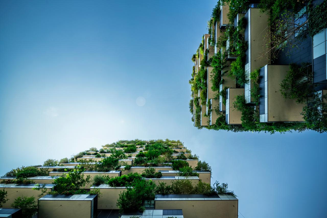 Skyscrapers with plants on the balcony Skyscrapers with plants on the balcony