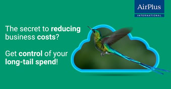 The secret to reducing business costs? Get control of your long-tail spend.