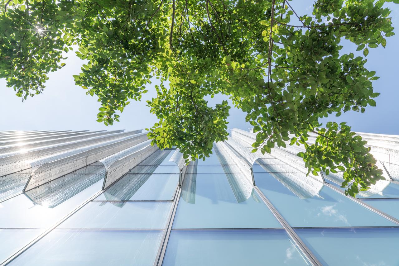 Bottom view of eco city