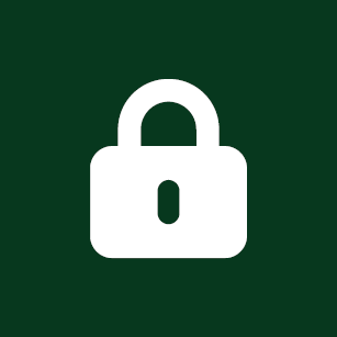 Customizable security