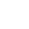 Convenient-Secure-Icon